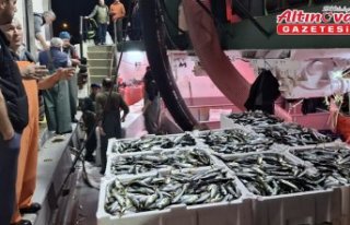 Sinop'ta denize açılan balıkçılar yüzlerce...