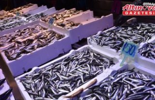Trabzon'da hamsinin kilogramı 125 ila 150 liradan...