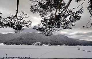 Abant Gölü'nün yüzeyi buz tuttu