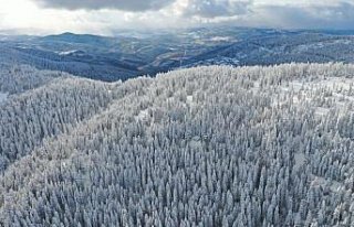 Ballıdağ'ın karla kaplı ormanları dronla...
