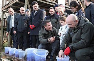 Batı Karadeniz'in kuş cenneti Efteni Gölü'nde...