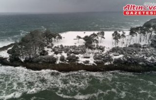 Denizle ormanın birleştiği Hamsilos Tabiat Parkı...