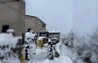 Giresun'da kardan yolu kapanan köyde mahsur...