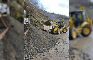 Giresun'daki heyelanlarda ortaya çıkan kaya...
