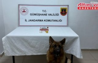 Gümüşhane'de uyuşturucu operasyonu kapsamında...