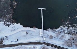 Kuş cenneti Efteni Gölü'nde kış manzaraları...