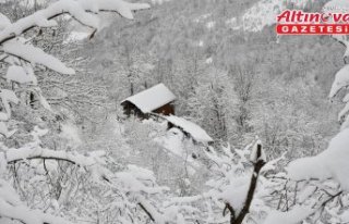 Samsun'un yüksek kesimleri kar yağışının...