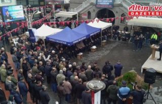 Sinop'un Türkeli ilçesinde konutlara ilk doğal...