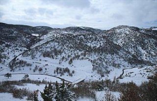 Tokat'ta kar yağışı etkili oldu