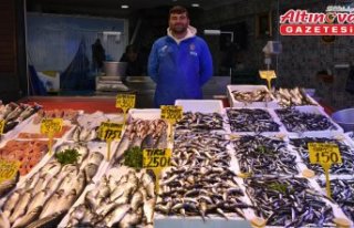 Trabzon'da hava muhalefeti balık fiyatlarını...
