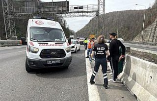 Anadolu Otoyolu'nun Bolu kesiminde iki otomobilin...