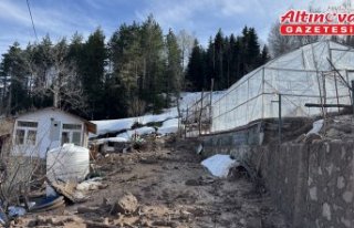 Artvin'de heyelan nedeniyle 2 ev zarar gördü