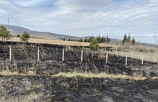 Çorum'da çıkan örtü yangını söndürüldü