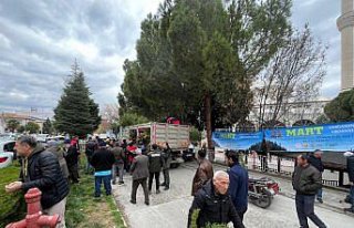 Kargı'da vatandaşlara fidan dağıtıldı