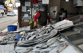 Ramazanda balık satışları azaldı fiyatlar düştü