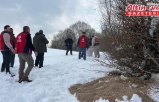 Samsun'da yaban hayatı için doğaya yem bırakıldı