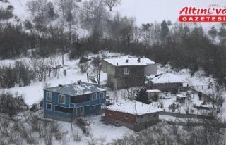 Samsun'daki Kocadağ Yaylası'nda ilkbahar...