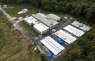 Samsun'da sahipsiz hayvanlara “konforlu“...