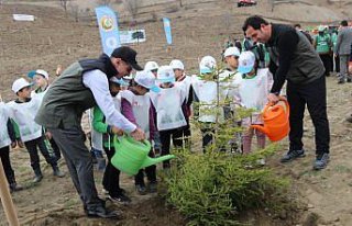 Taşova’da 6 bin fidan toprakla buluştu