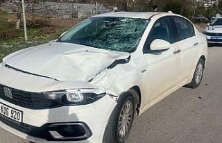 Tokat'ta otomobilin çarptığı 89 yaşındaki...