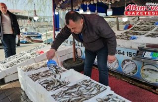 Zonguldaklı balıkçı avladığı 10 ton balığın...