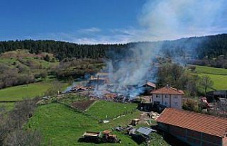 Kastamonu'da çıkan yangında 3 ev ile 3 ahır...