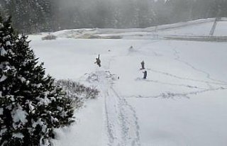 Kümbet Yaylası'nda ilkbaharda yağan karda...