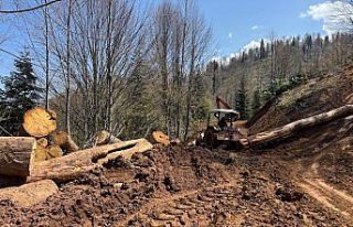 Orman işçileri dağ tepe demeden görev başında