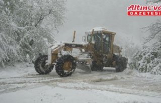Samsun'da kar etkili oldu