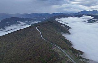 Alaçam'da sis etkili oldu