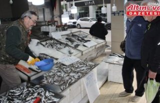 Sinopluların bu ramazan balık tercihi mezgit oldu