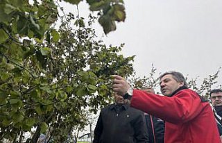 Tarım ve Orman Bakan Yardımcısı Bağcı, zirai...