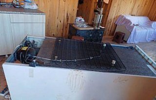 Trabzon'da ayılar 7 yayla evine zarar verdi