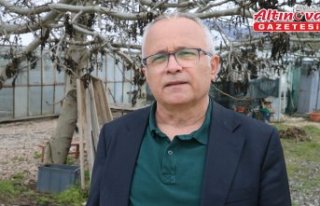 Zirai dondan korunmak için örtü altı meyve yetiştiriciliği...