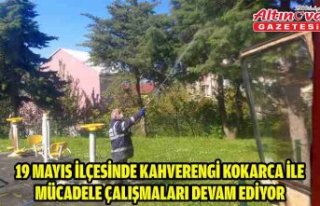 19 Mayıs ilçesinde kahverengi kokarca ile mücadele...
