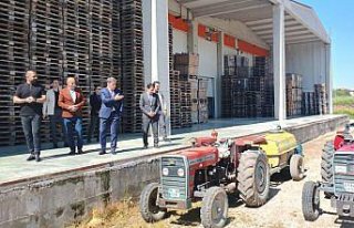 Amasya Valisi Önder Bakan, meyve paketleme ve soğuk...