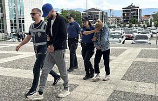 Bolu'da hırsızlık şüphelisi tutuklandı