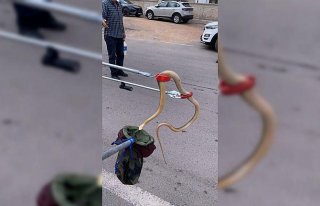 Gümüşhane'de otomobilin tekerleğine giren...