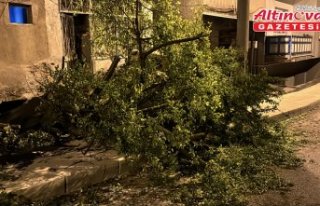 Karabük'te kuvvetli rüzgar etkili oldu