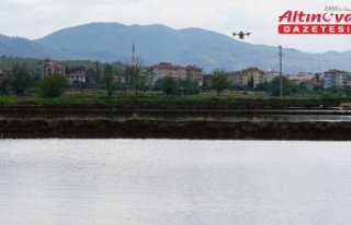 Pirinç üretimiyle öne çıkan Osmancık'ta...