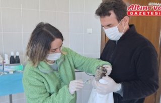 Samsun'da enfeksiyon nedeniyle görme sorunu...