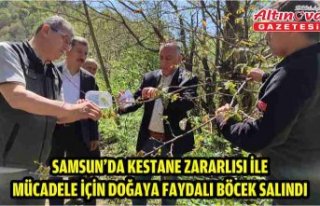 Samsun'da kestane zararlısı ile mücadele için...