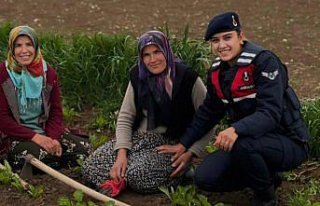 Samsun'da jandarma tarlada çalışan kadınların...