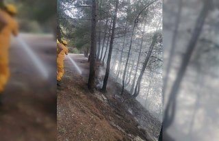 Bafra'da örtü yangını büyümeden söndürüldü