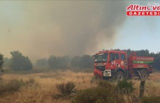 Çanakkale'de tarım arazisinden ormanlık alana...