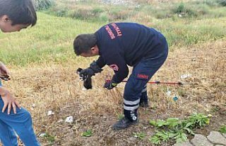 Çorum'da görme engelli yavru kediyi itfaiye...