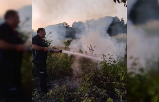 Gerze'de çıkan örtü yangını söndürüldü
