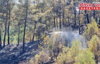 Karabük'te çıkan orman yangını kontrol altına...