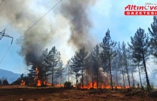 Karabük'te çıkan orman yangınına müdahale...