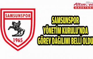 Samsunspor Yönetim Kurulu'nda görev dağılımı...